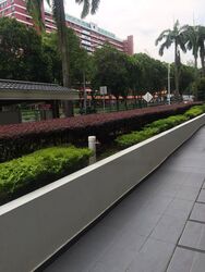 Suites @ Bukit Timah (D21), Shop House #577031271